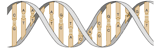 personalgenome.com